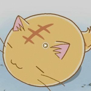 Meet your Posher, Jane